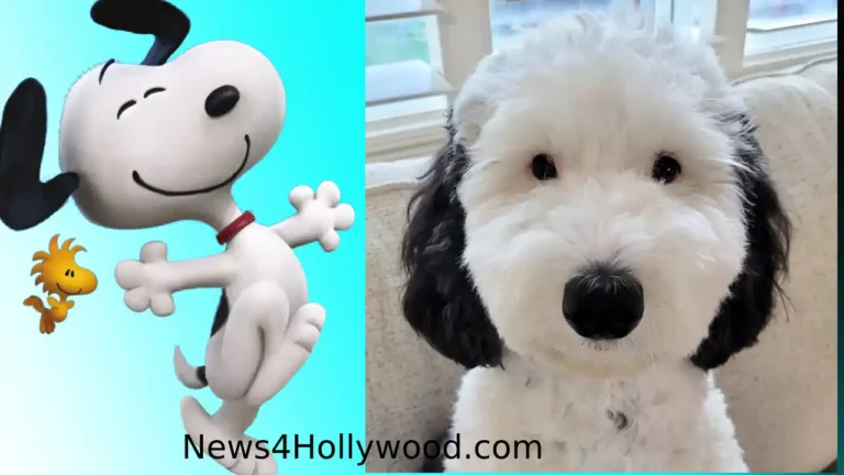 Meet Bayley, Real-life Snoopy dog catches the internet's attention